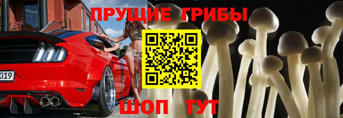 Псилоцибиновые грибы GOLDEN TEACHER Батайск